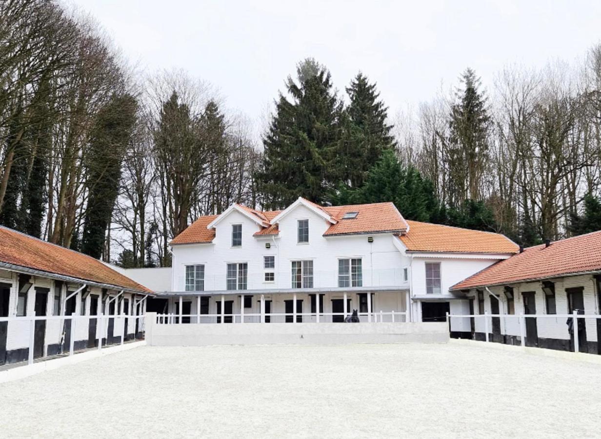 Royal Horses Bed and Breakfast Overijse Exteriör bild